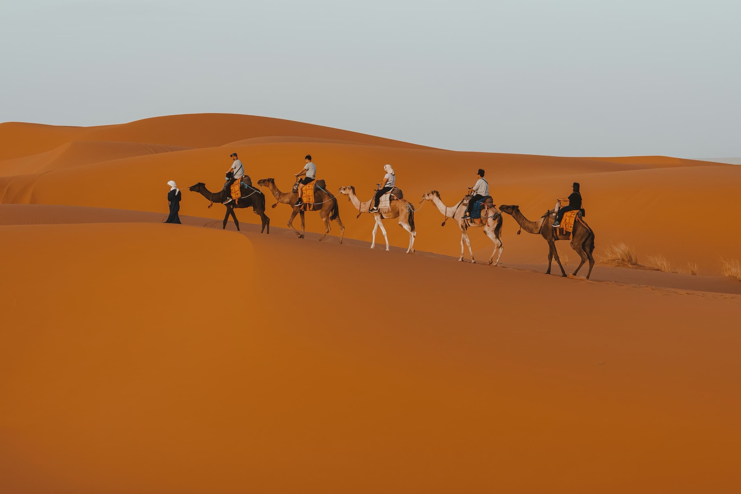 The dunes of the Moroccan Sahara